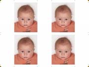 Beispiel Passfoto für Baby