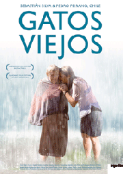 Gatos Viejos
