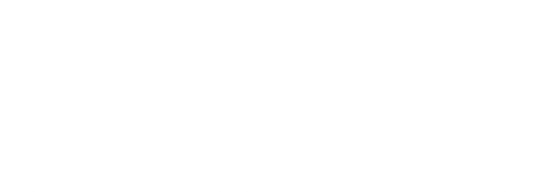 SKYPICS4U.ch - Professionelle Videoproduktionen am Boden und aus der Luft