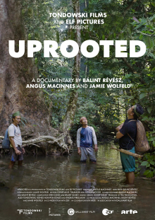 UPROOTED - The Olympic Tribe UPROOTED - The Olympic Tribe