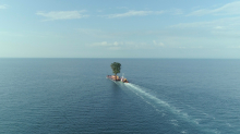 «Taming the Garden» – Premiere mit Regiegespräch – So, 5. Dez., 19 Uhr im Kino Cameo «Taming the Garden» – Premiere mit Regiegespräch – So, 5. Dez., 19 Uhr im Kino Cameo
