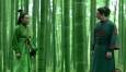 «Zhang Yimou – Die Farben des Lebens» im Kino Cameo