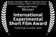 The Winner is: INTERNATIONAL EXPERIMENTAL SHORT FILM AWARD: Studies at Huningue / Basel or the tree to sleep