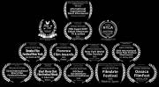 NY, La Paz & Kinshasa .. 3 neue Festivals auf 3 Kontinenten binnen einer Woche – Basler Vogelschwärme als Kurz-Essay-Film fliegen weiter um die Welt! In La Paz online ab 3. Sept. NY, La Paz & Kinshasa .. 3 neue Festivals auf 3 Kontinenten binnen einer Woche – Basler Vogelschwärme als Kurz-Essay-Film fliegen weiter um die Welt! In La Paz online ab 3. Sept.