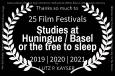 online bis 12.12.: Basler Vogelschwärme als Kurz-Essay-Film im Internationalen Wettbewerb des iCARO Film Festivals in Guatemala