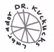 Dr. Kuckucks Labrador Filmnacht