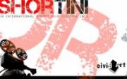 IV SHORTini International Short Film Festival 2010, Call For Entries