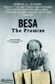 BESA: The Promise