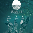 BLUE ROAD - SurfMovie