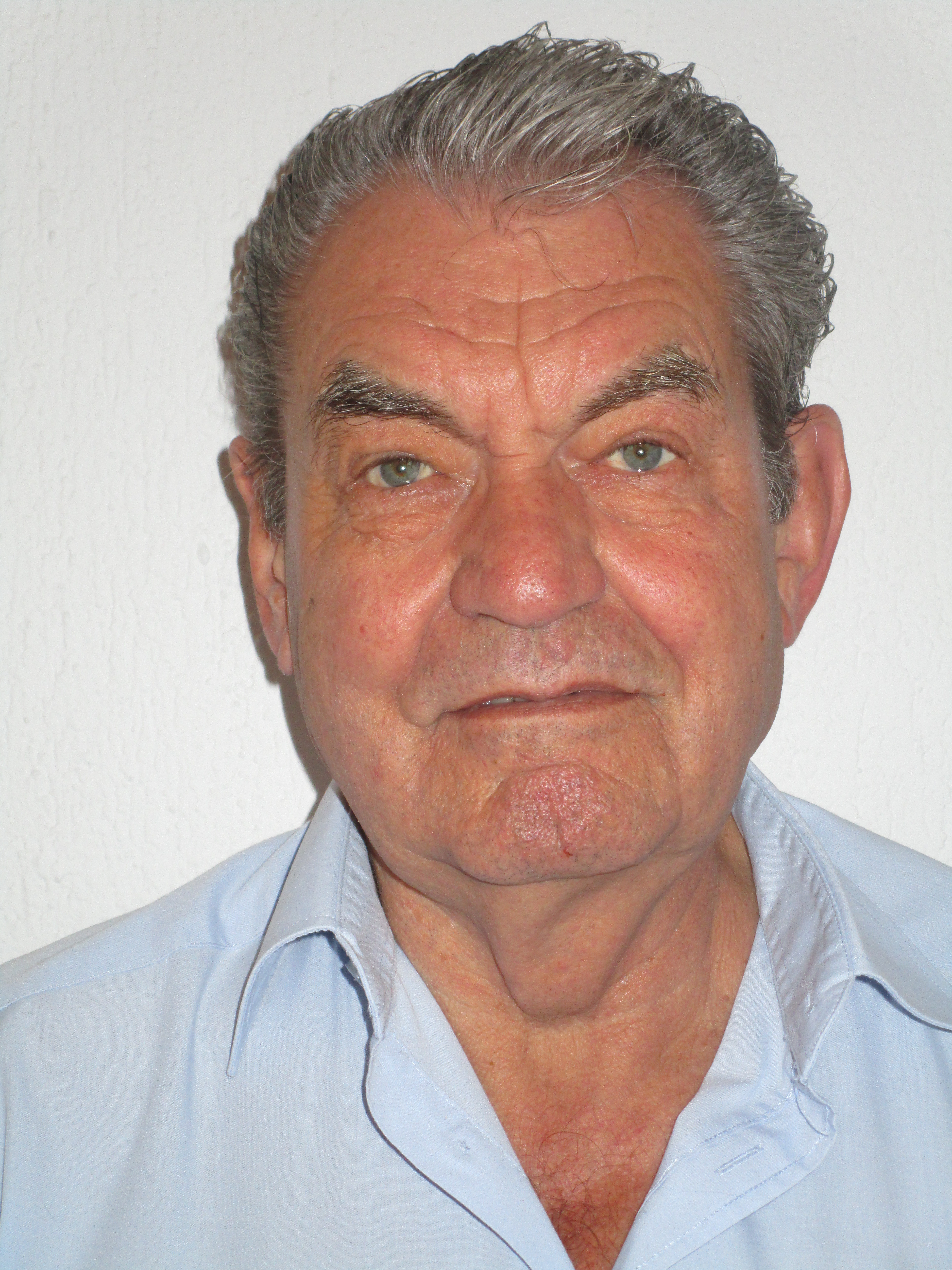Leonhard Fehr