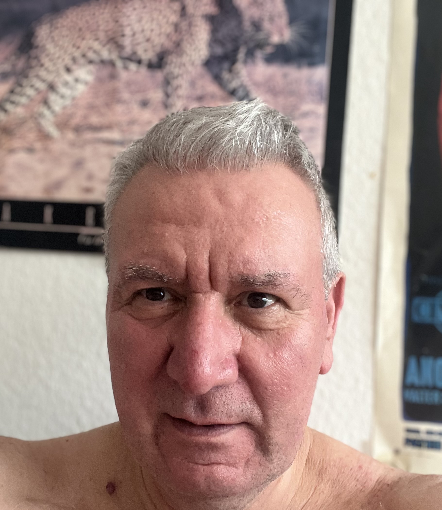 Erasmo Leccese