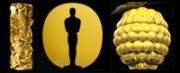 Oscar- und César-Preisverleihungen sowie die Goldenen Himbeeren