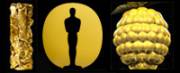 Oscar- und César-Preisverleihungen sowie die Goldenen Himbeeren Oscar- und César-Preisverleihungen sowie die Goldenen Himbeeren