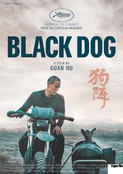 Black Dog