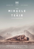 Le Miracle de Tekir - Miracolul din Tekir