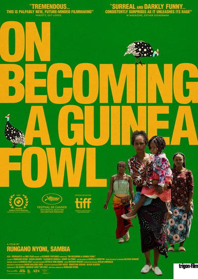 On Becoming A Guinea Fowl