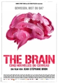 The Brain