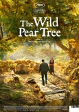 The Wild Pear Tree