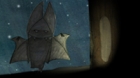 01_totweb